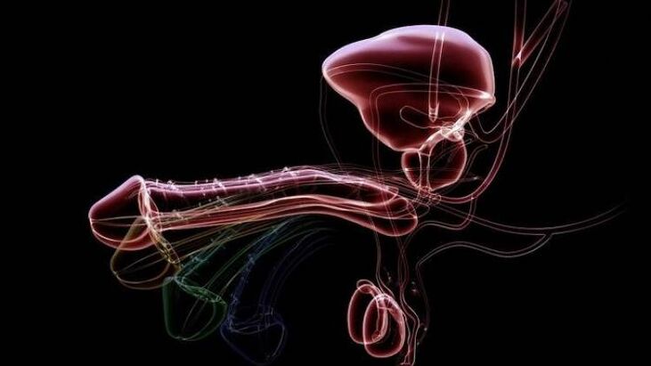 Защо се появява секрет, когато мъжете са развълнувани и нормално ли е